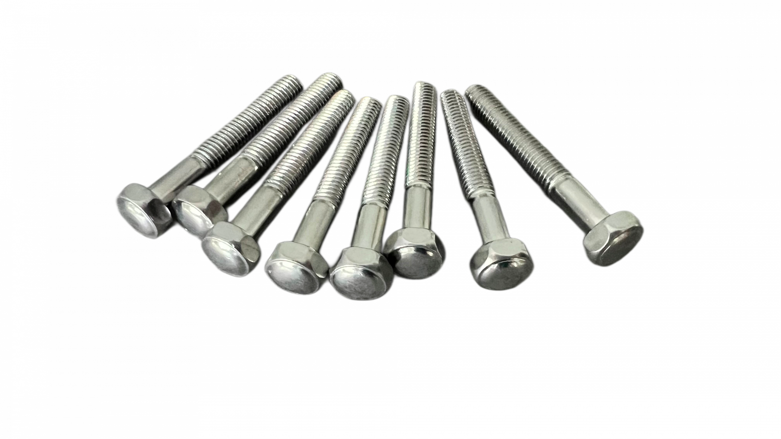 Sachet vis pieds flipper